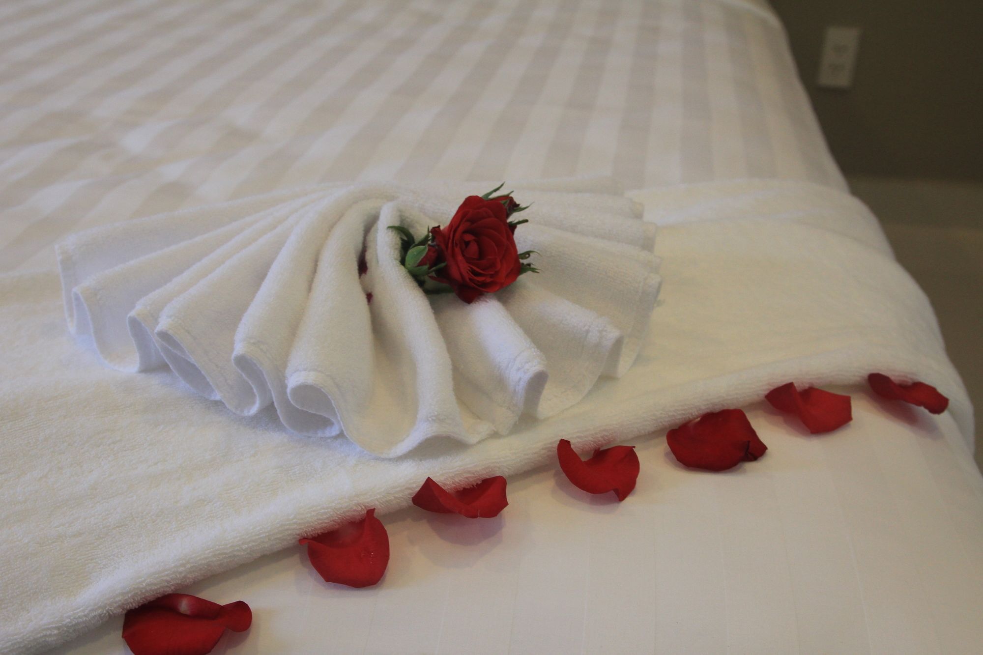 Vanda Hotel Phú Quốc-sziget Kültér fotó